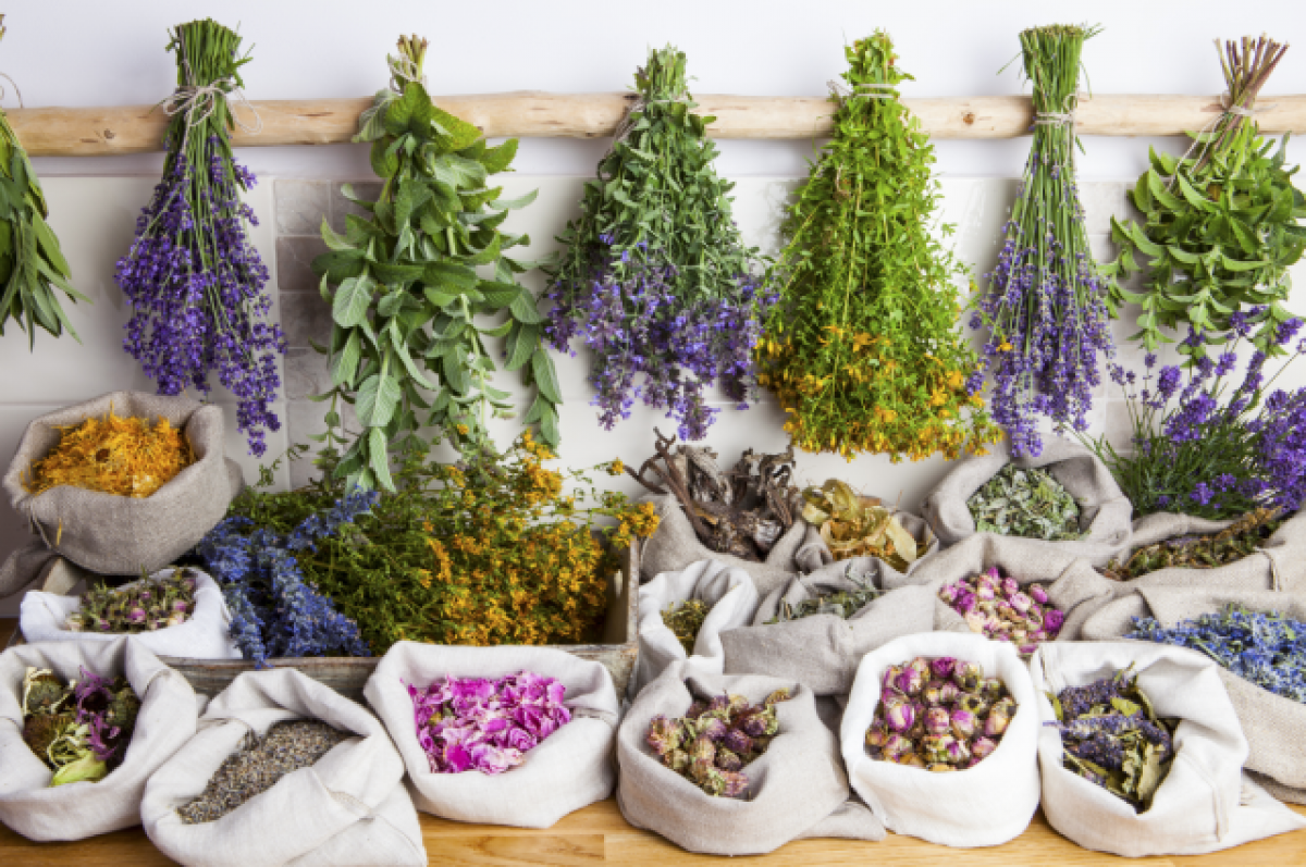 Ինչպես հավաքել ուտելի բույսեր և դեղաբույսեր